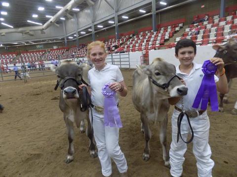 4-H Dairy Non-Ownership Program