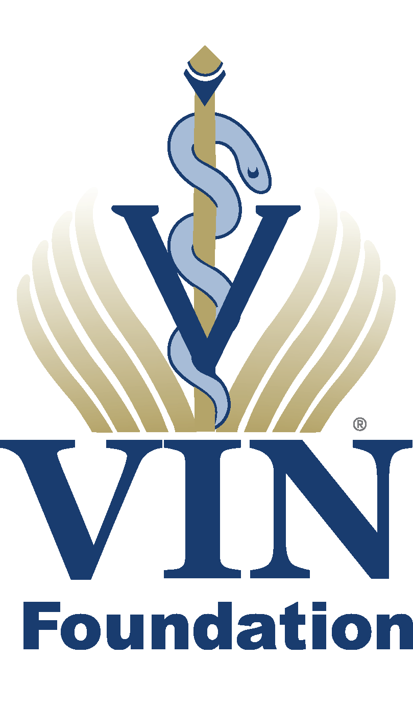 VIN Foundation