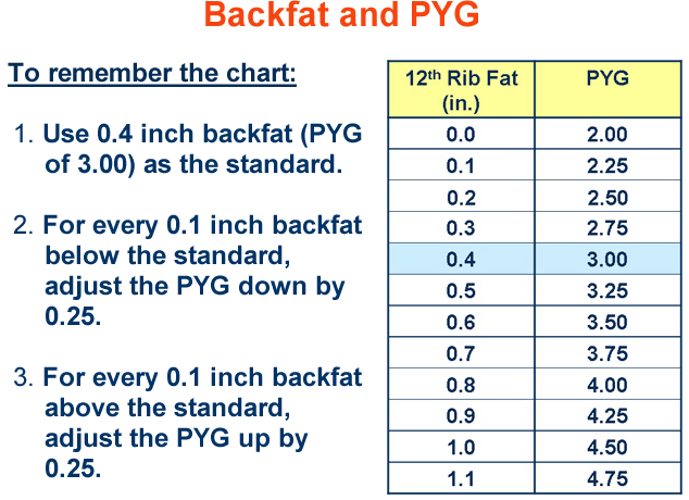 Backfat and PYG