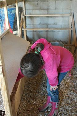 Child Collecting Eggs