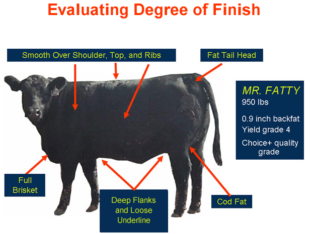 Evaluating Degree of Finish