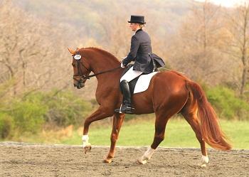 Hanoverian