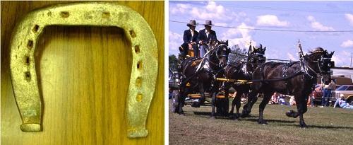 Scotch-bottom Draft-horse Shoe, Heel Calks and Toe-clip