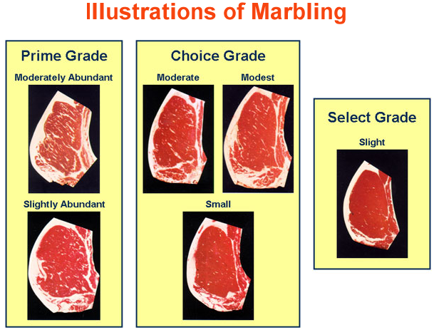 Illustrations of Marbling