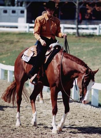 Chestnut/Sorrel with Blaze + Stockings, Socks