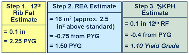 Test Your Market Steer Yield Grading Skills cow 10 answer